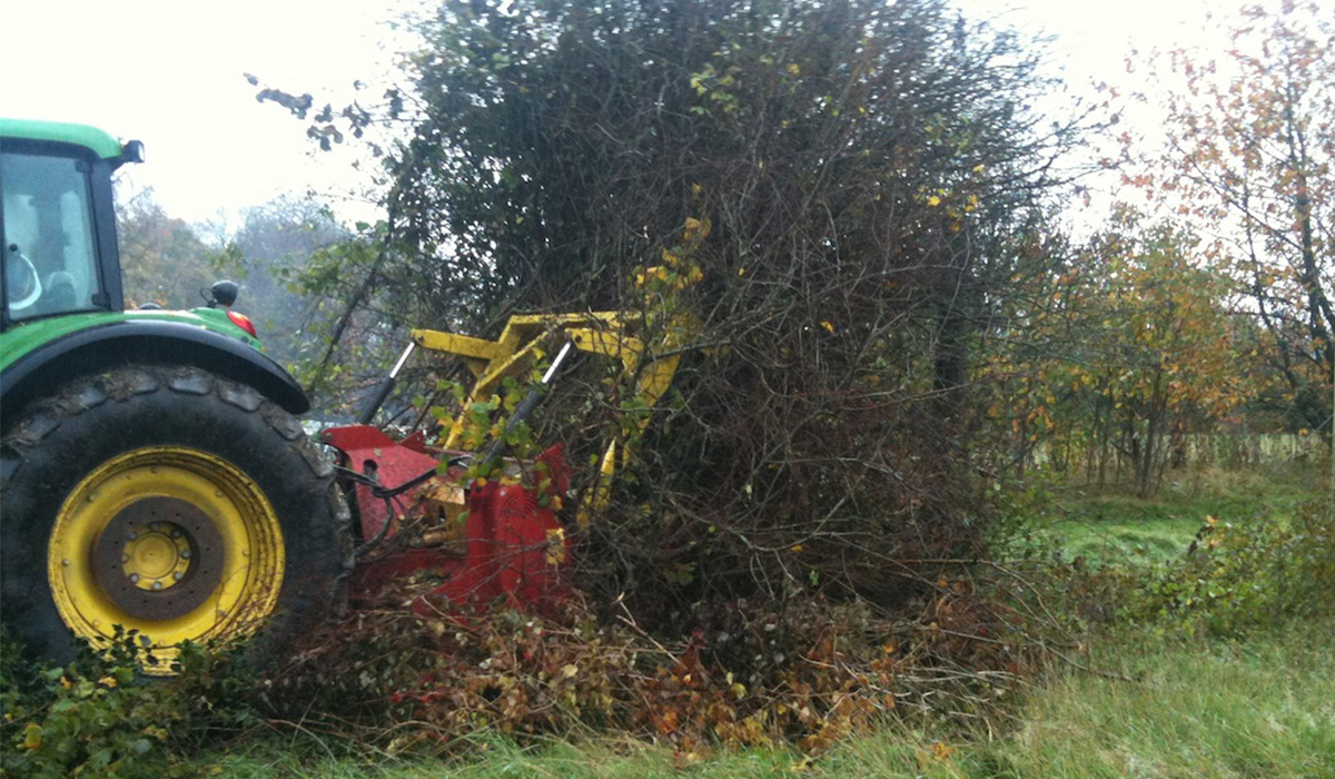 Hedge mulching in preparation for development in the Vale of Glamorgan