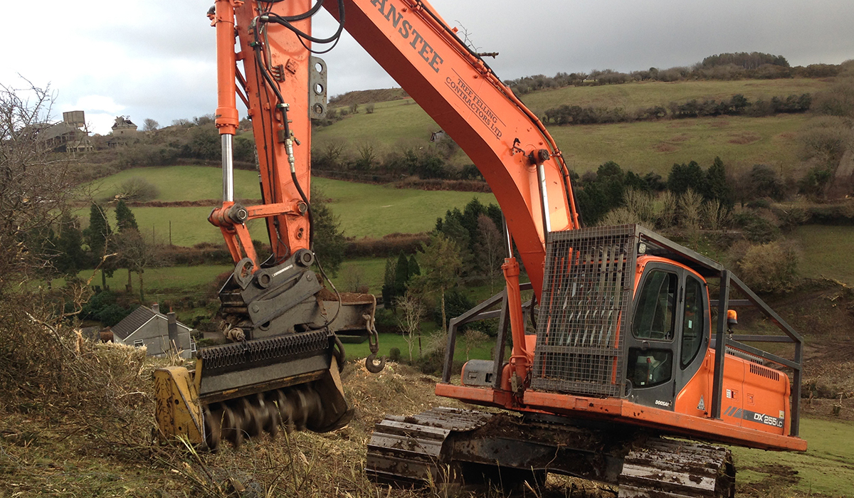 Tree clearance