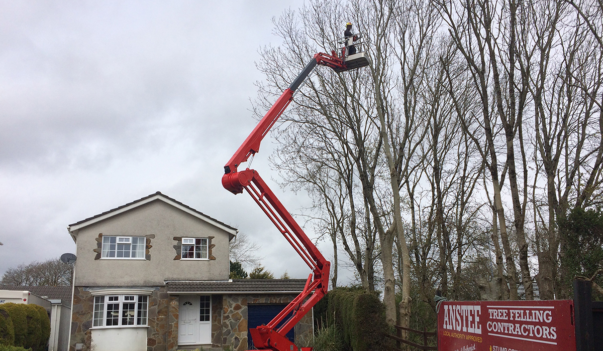 Crown lifting