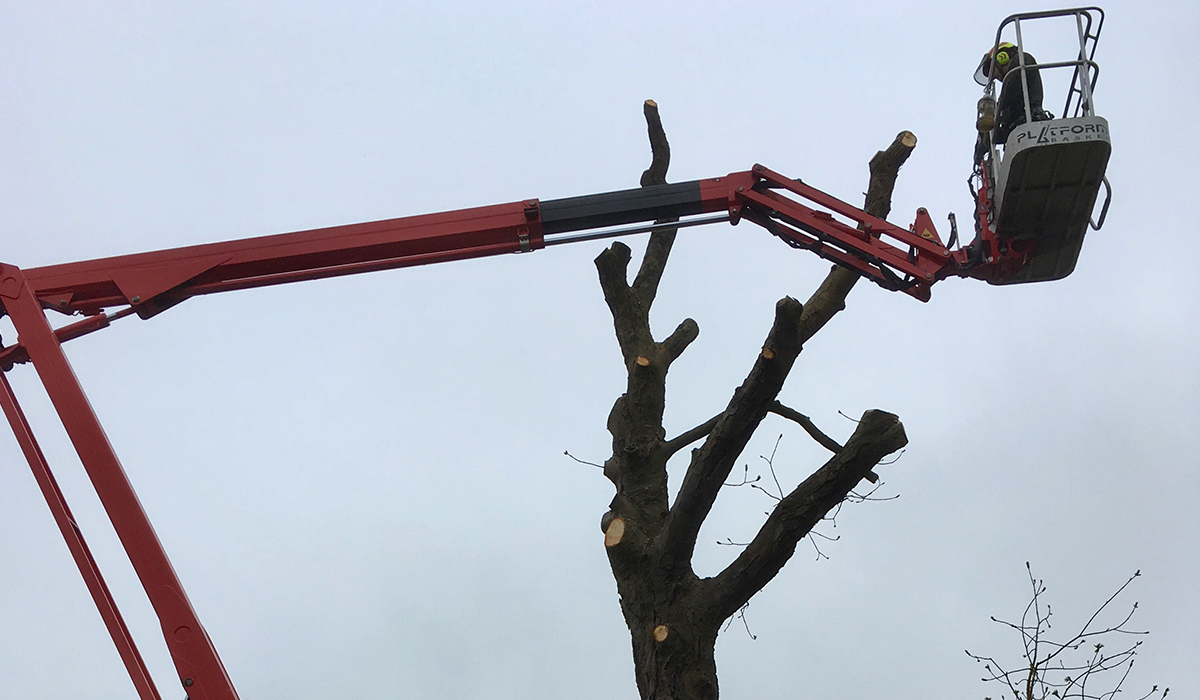 Dismantling